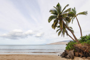 Maui Hawaii coastal wall art