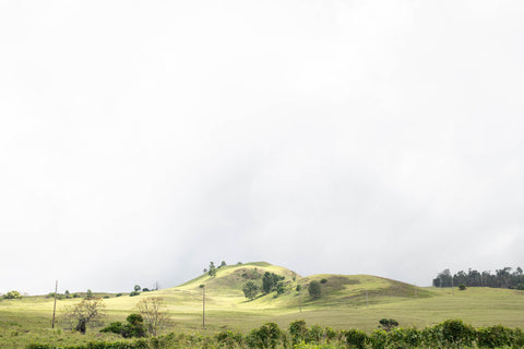 Hills of Hana - Korbin Bielski Fine Art