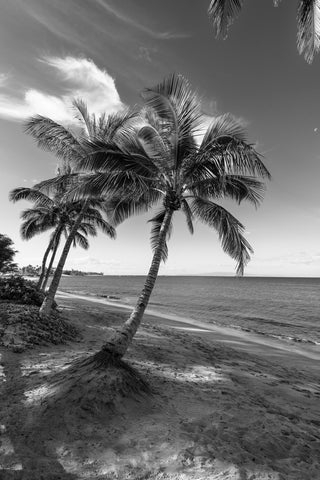 Mai Poina Beach - Korbin Bielski Fine Art